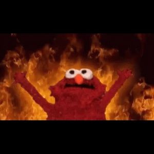 Meet your Posher, Sophia